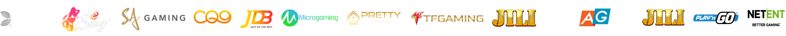 Footer Provider Image